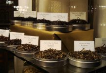 Types of Tea Every Tea Lover Should Have at Home types of tea