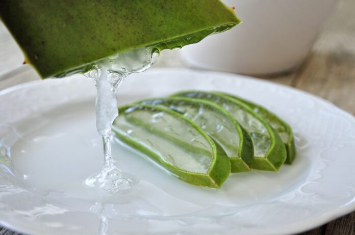 aloe vera gel benefits