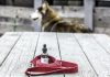 CBD Oil for Dogs- How Does It Help? CBD Oil for Dogs