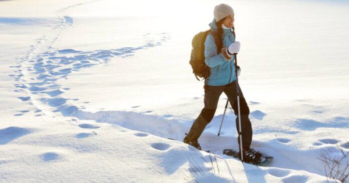 Finding Opportunities in Winter