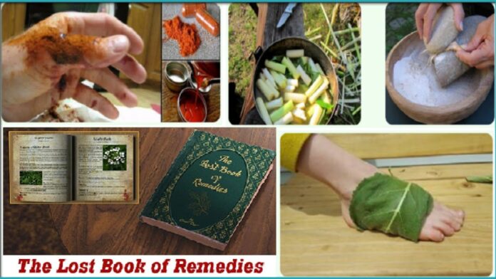 the lost book of herbal remedies