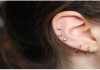 Everything You Need to Know About Cartilage Piercing Know About Cartilage Piercing