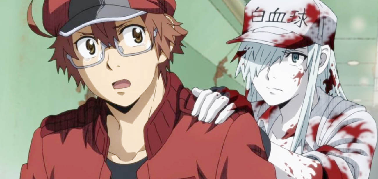 Cells at Work Season 2 Hilarious Anime With Cells As Characters