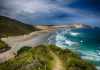 Visiting New Zealand once Travel Opens Visiting New Zealand