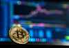 Recognizing Bitcoin market trends and patterns: Guide for beginner traders Bitcoin market trends