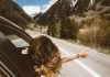 5 Tips for a Hassle-Free Road Trip Hassle-Free Road Trip