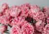 Why You Should Choose Preserved Flowers Bouquet Wedding Preserved Flowers Bouquet