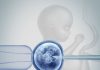 Understanding The IVF Timeline IVF Timeline