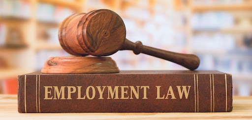 an Employment Lawyer