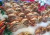 How To Buy Frozen Crab Tips Without Any Worries Buy Frozen Crab