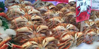 How To Buy Frozen Crab Tips Without Any Worries Buy Frozen Crab