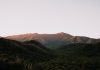 3 Things to Avoid and 4 Things to Do in Gatlinburg Do in Gatlinburg