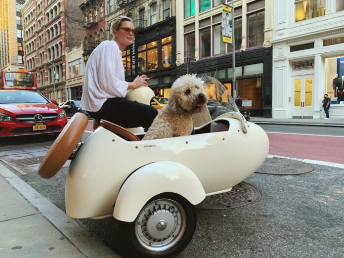 Dog On Motorcycle