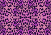 Quirky Patterns and Prints to Add to Your Wardrobe
